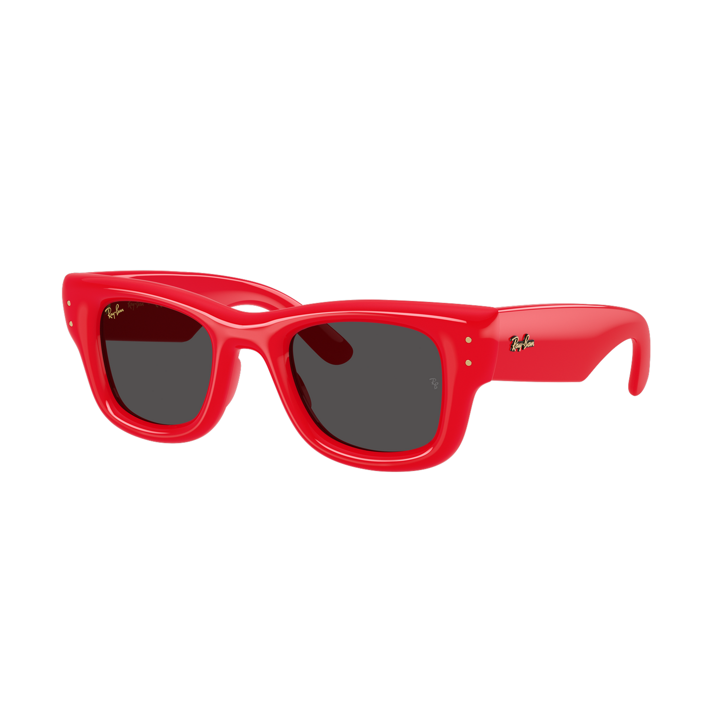 Ray-Ban 4940 SOLE
