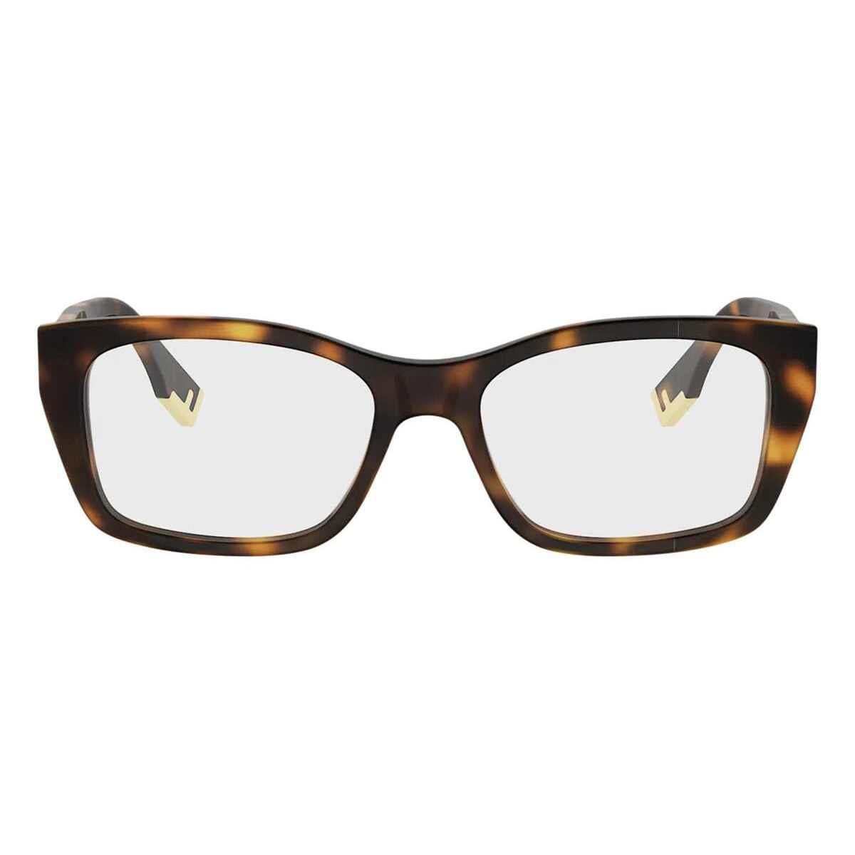 FE50155I 053 laterale