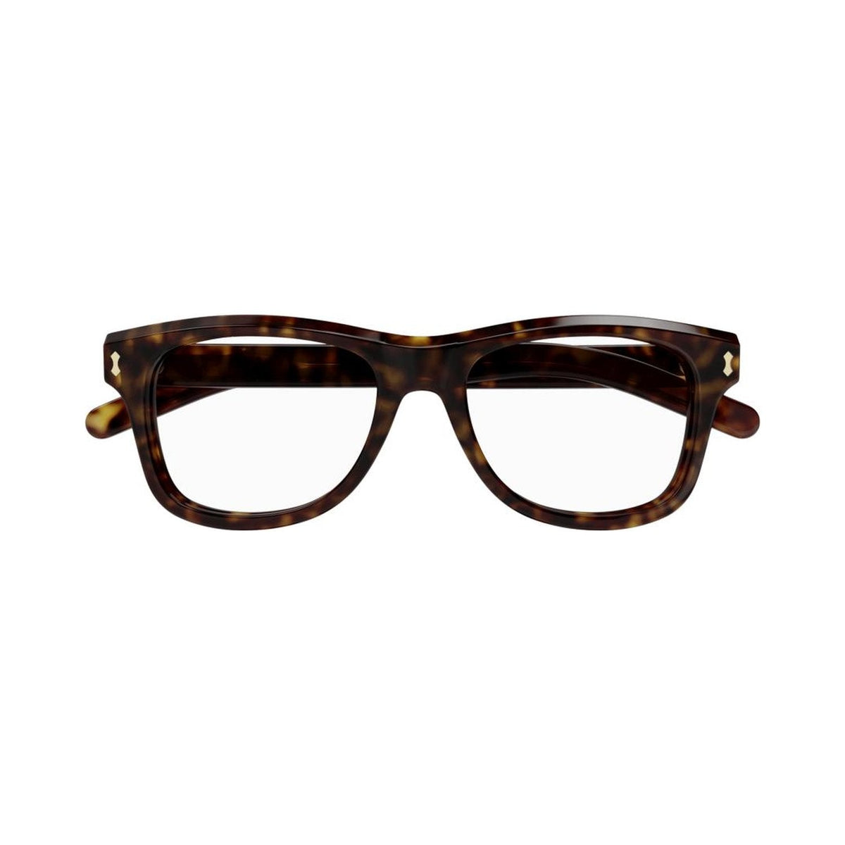 Prive' Revaux THE BIMINI/S | Occhiali da sole donna verde oliva grigio
