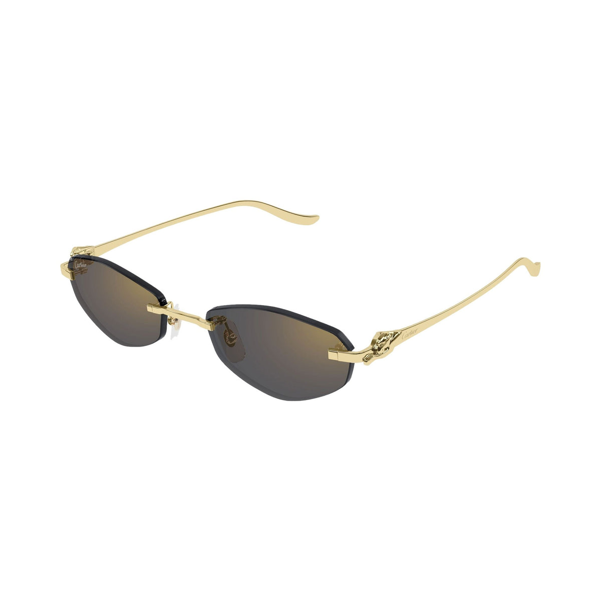 Cartier CT0675S 001 gold gold grey laterale