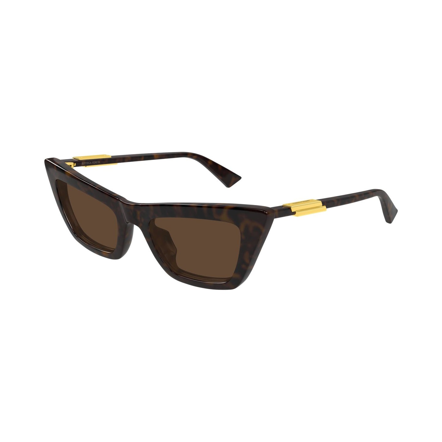 BV1446S-002 53 Sunglass WOMAN RECYCLED A