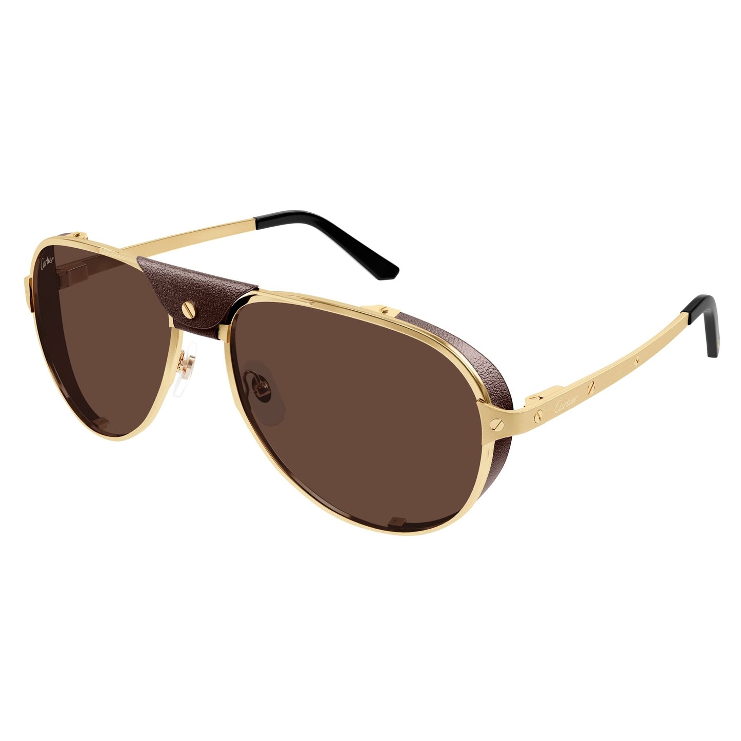 CT0296S-005 61 Sunglass MAN METAL