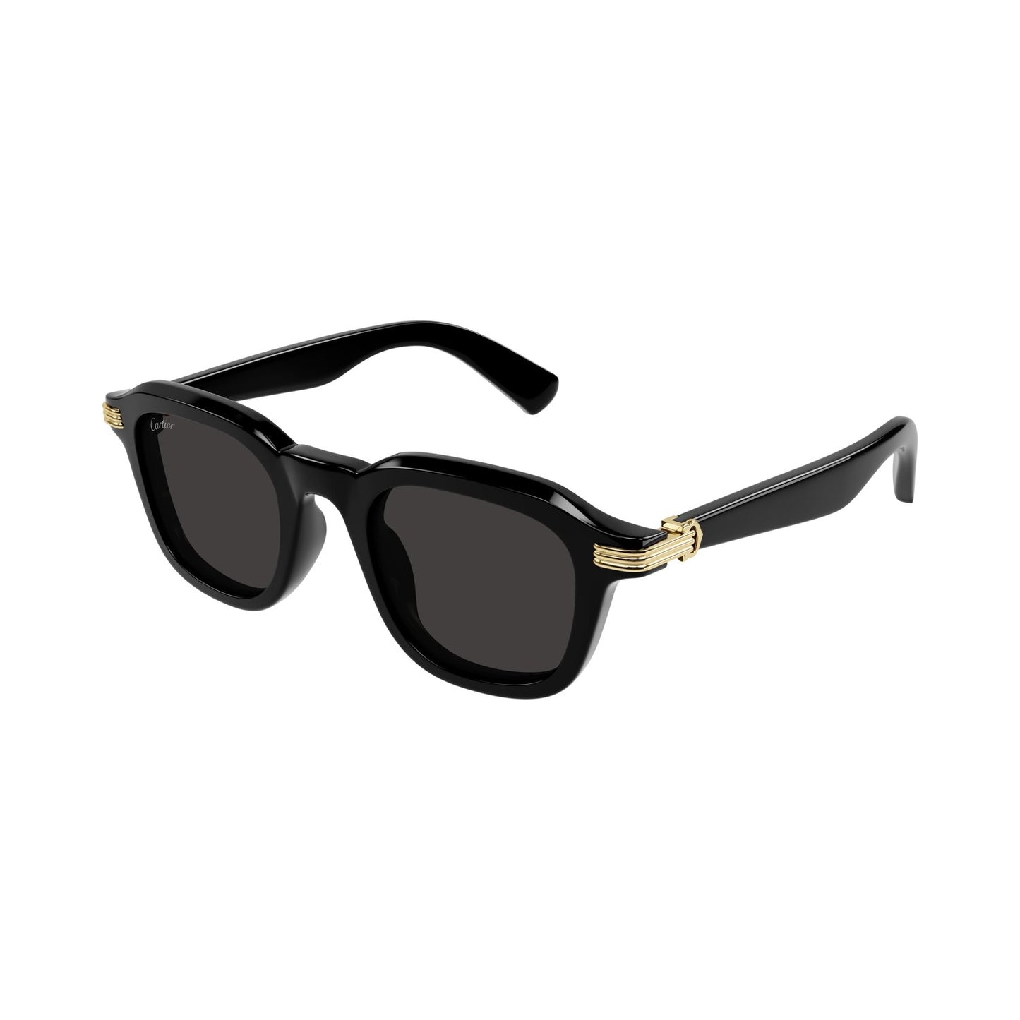 CT0536S-001 49 Sunglass MAN RECYCLED ACE