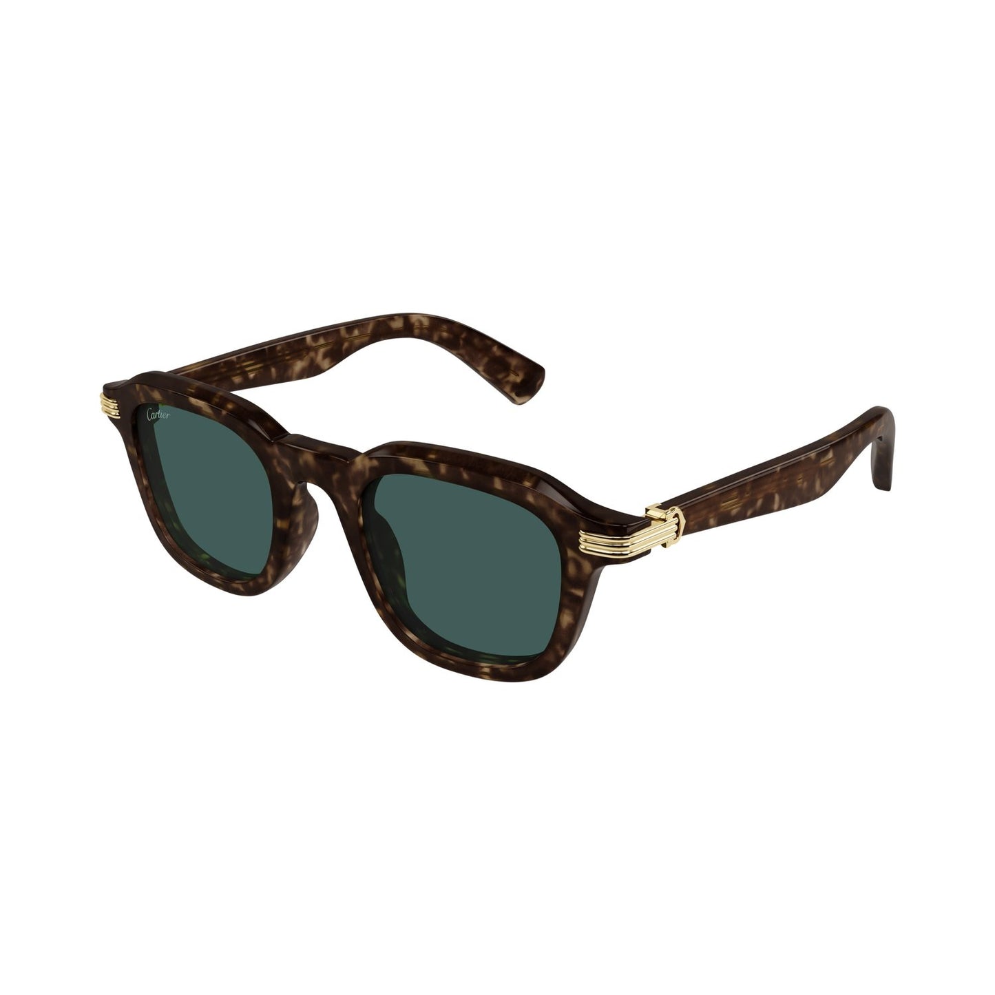 CT0536S-002 49 Sunglass MAN RECYCLED ACE
