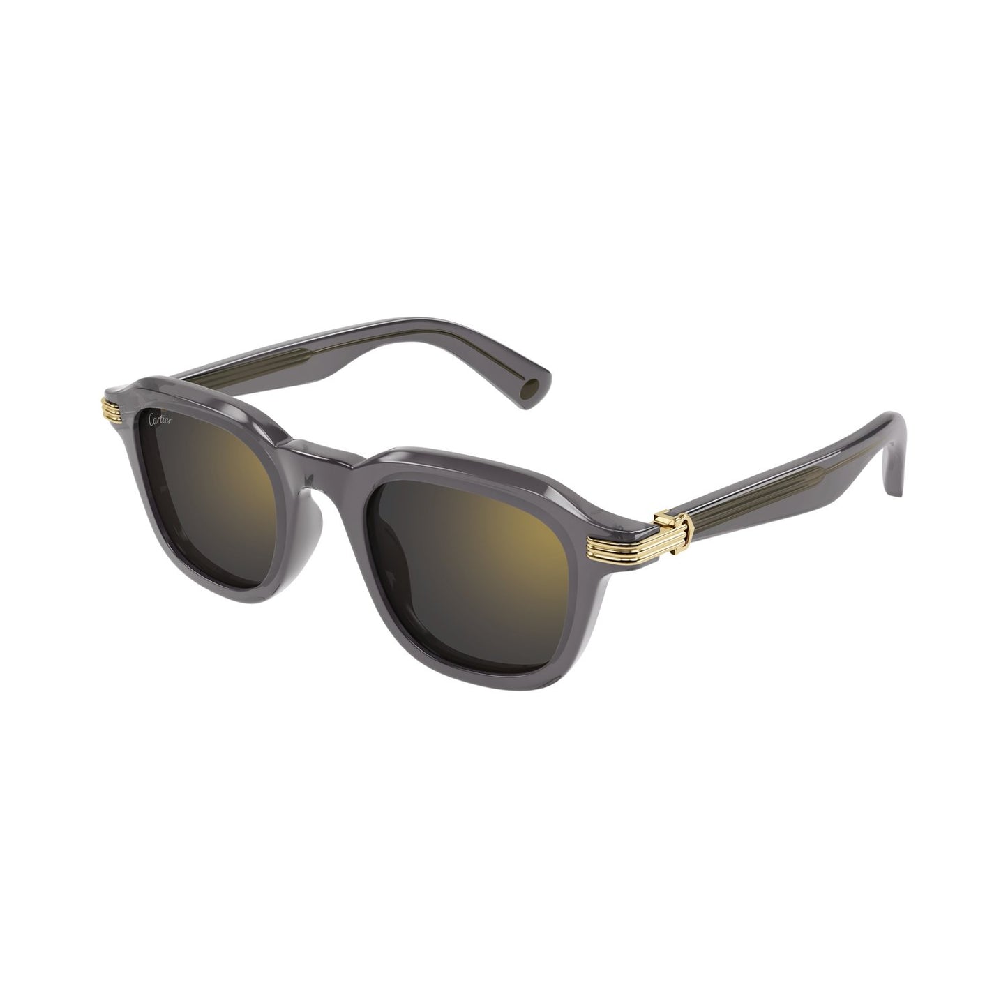 CT0536S-003 49 Sunglass MAN RECYCLED ACE