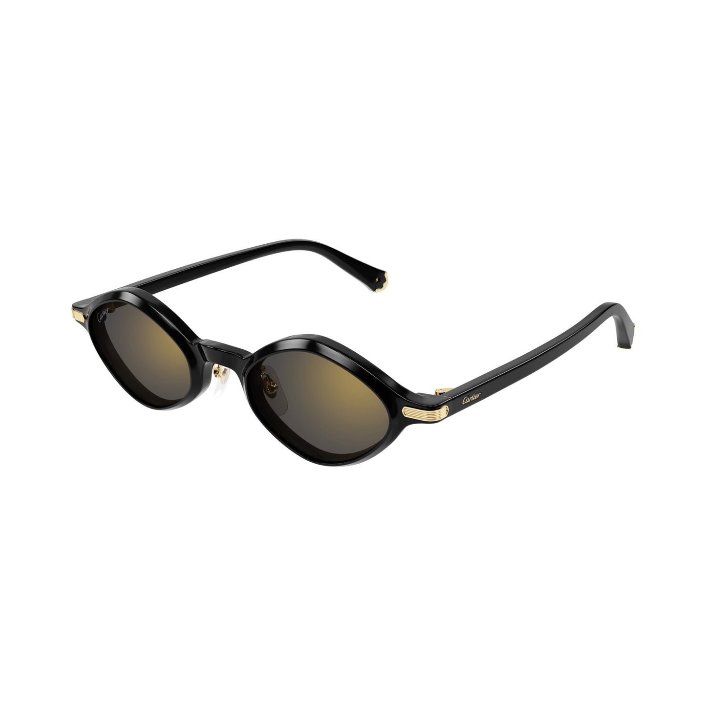 CT0540S-001 48 Sunglass UNISEX RECYCLED