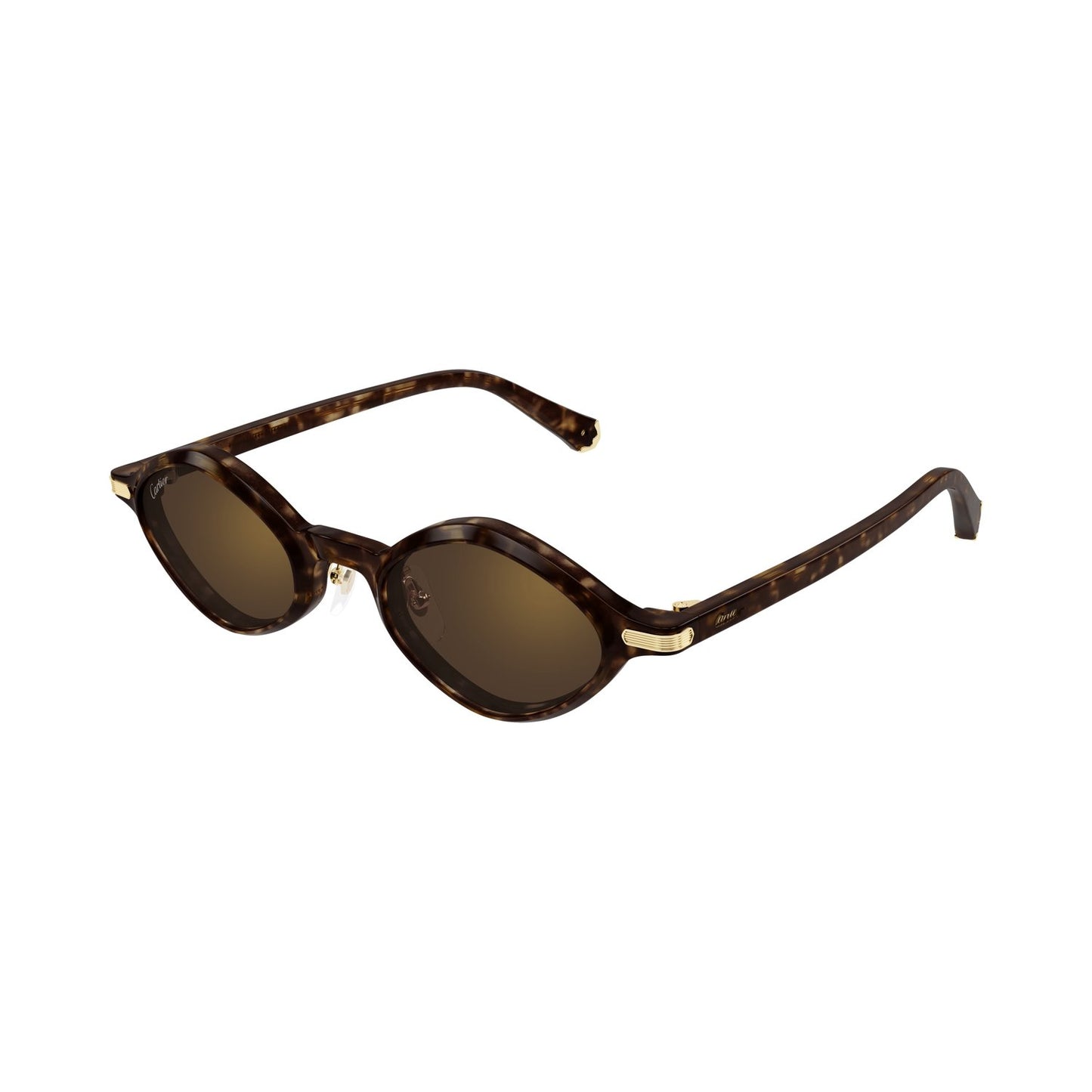 CT0540S-002 48 Sunglass UNISEX RECYCLED