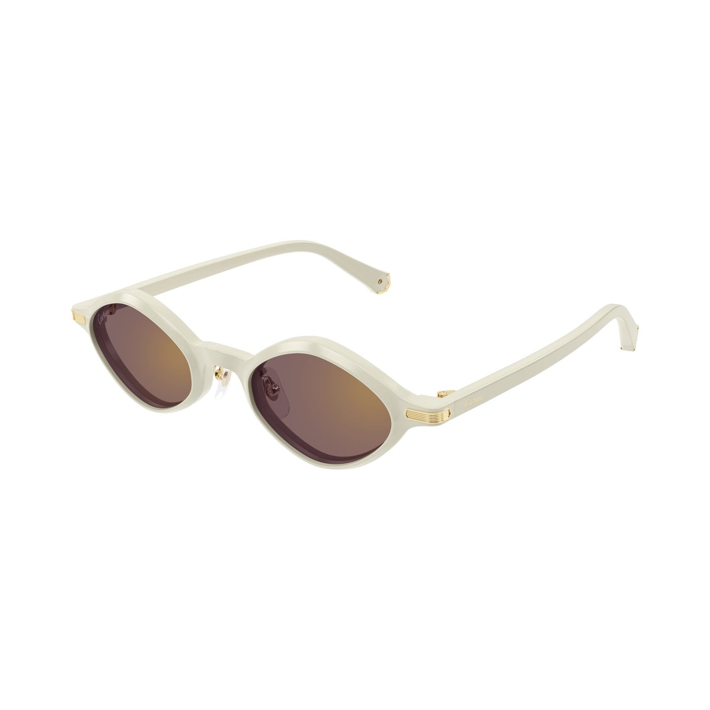 CT0540S-005 48 Sunglass UNISEX RECYCLED