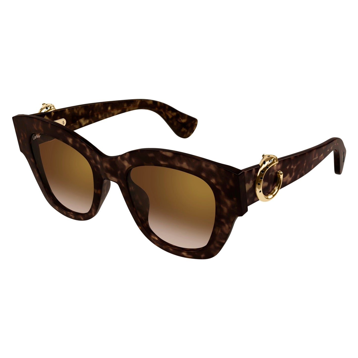 CT0547S-002 52 Sunglass WOMAN RECYCLED A