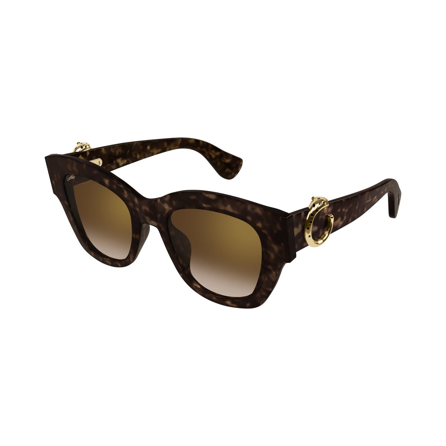 CT0547S-002 52 Sunglass WOMAN RECYCLED A