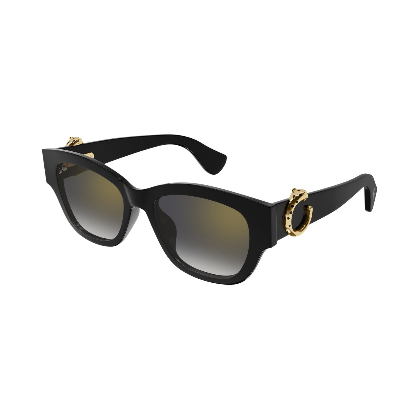 CT0548SA-001 55 Sunglass WOMAN RECYCLED