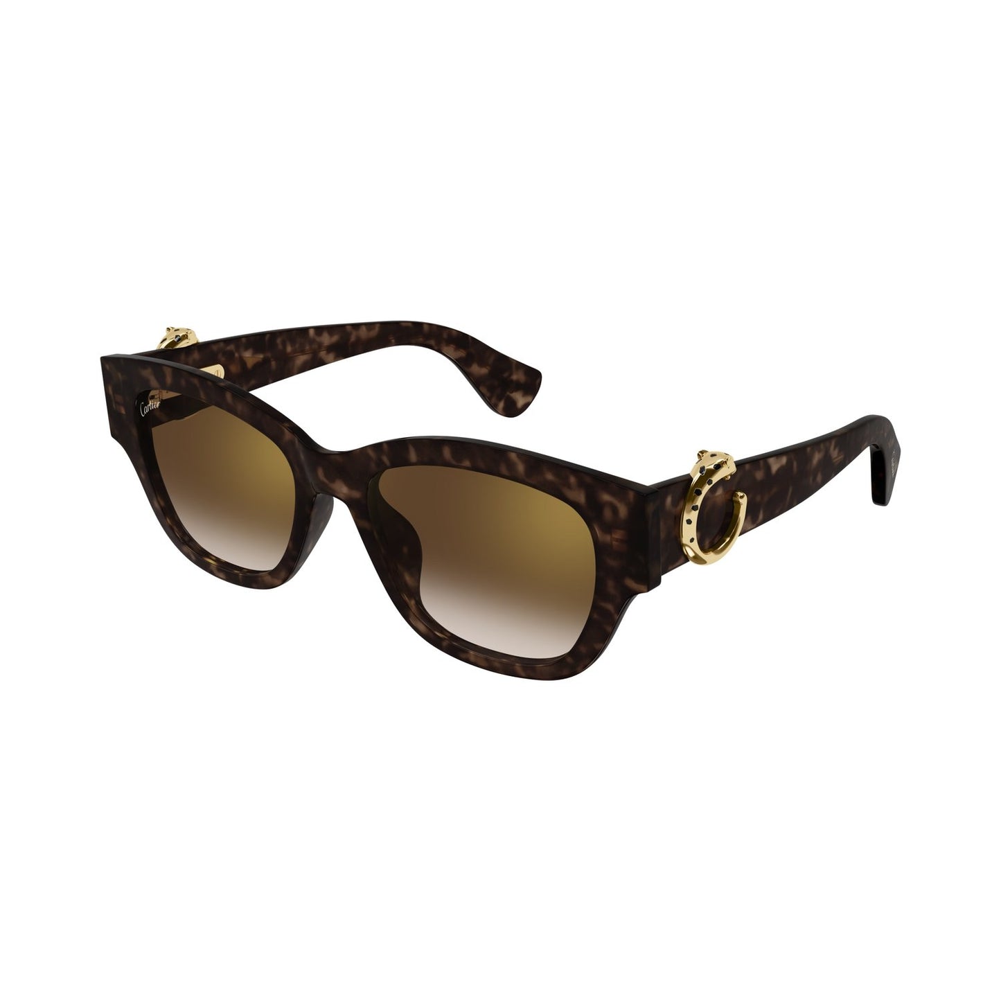 CT0548SA-002 55 Sunglass WOMAN RECYCLED