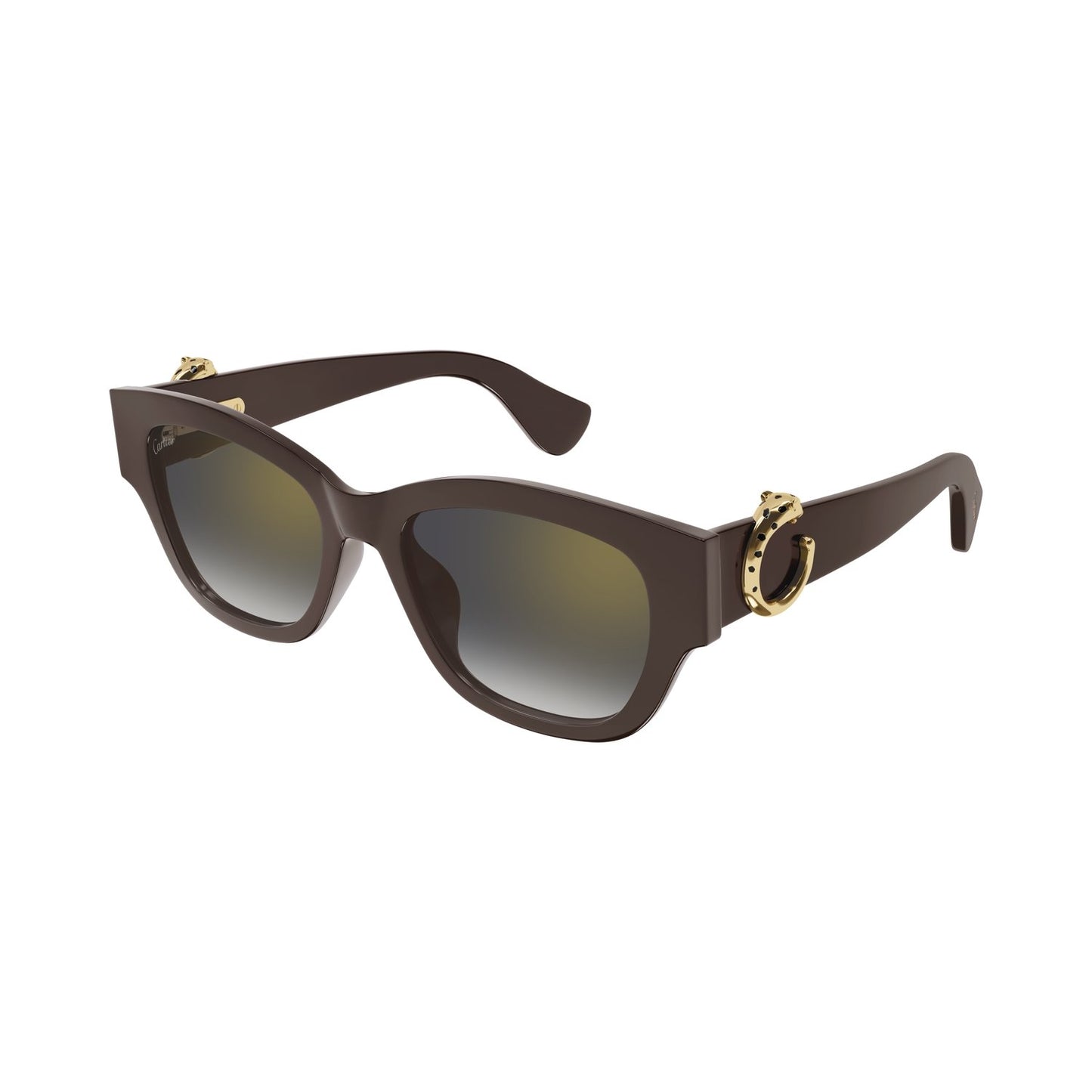 CT0548SA-003 55 Sunglass WOMAN RECYCLED