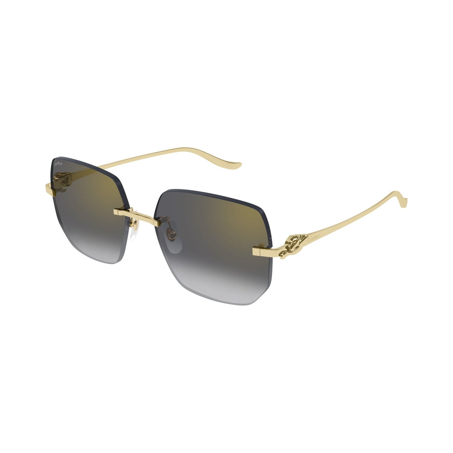 CT0549S-001 57 Sunglass WOMAN METAL