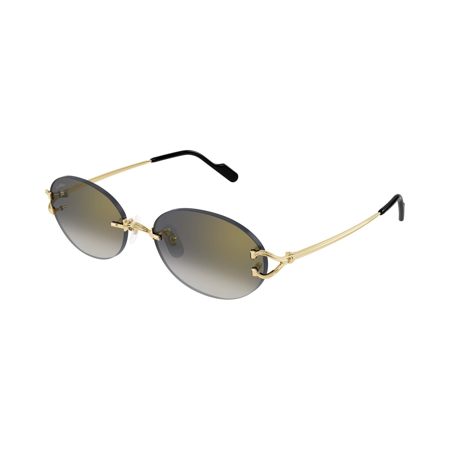 CT0551S-001 55 Sunglass UNISEX METAL