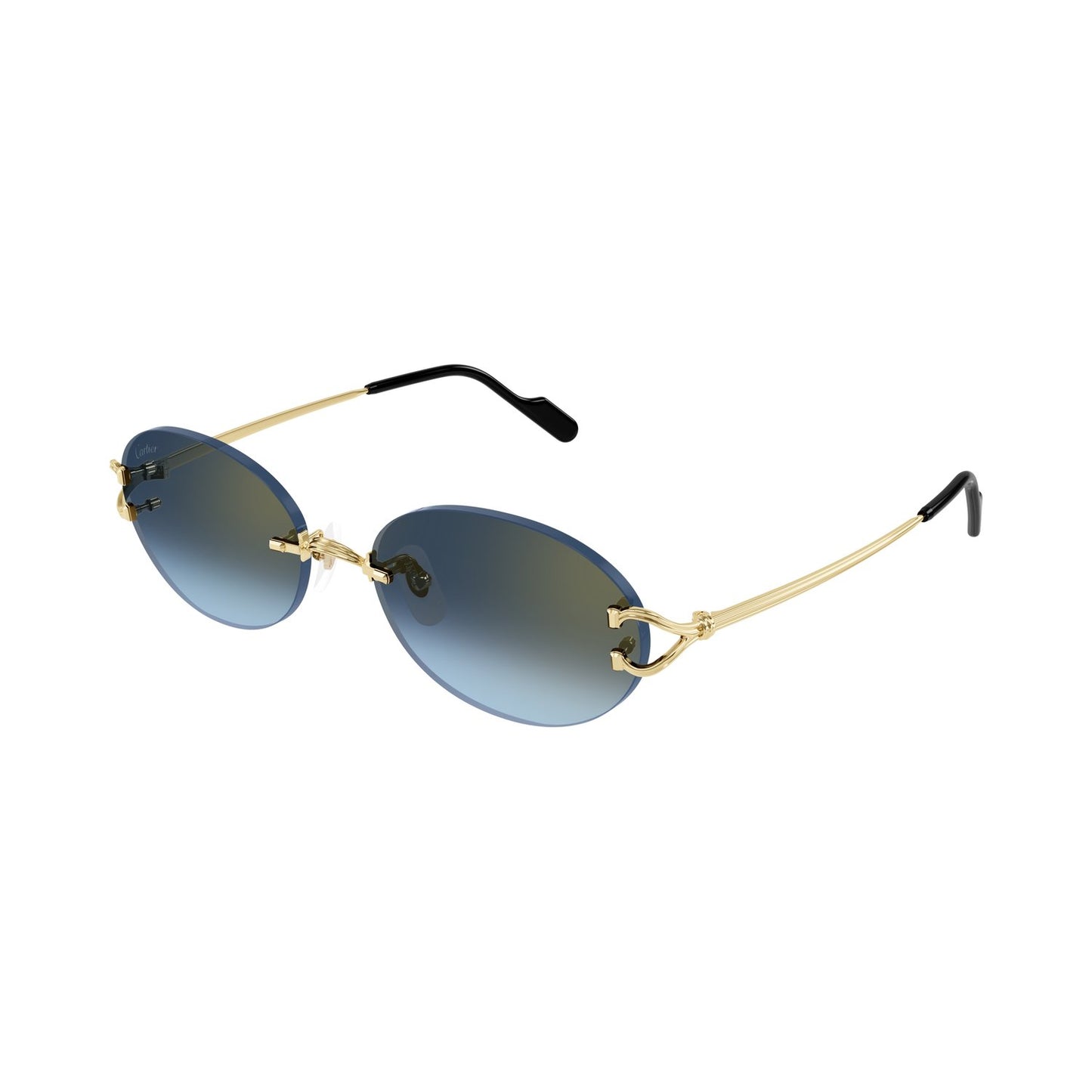 CT0551S-002 55 Sunglass UNISEX METAL