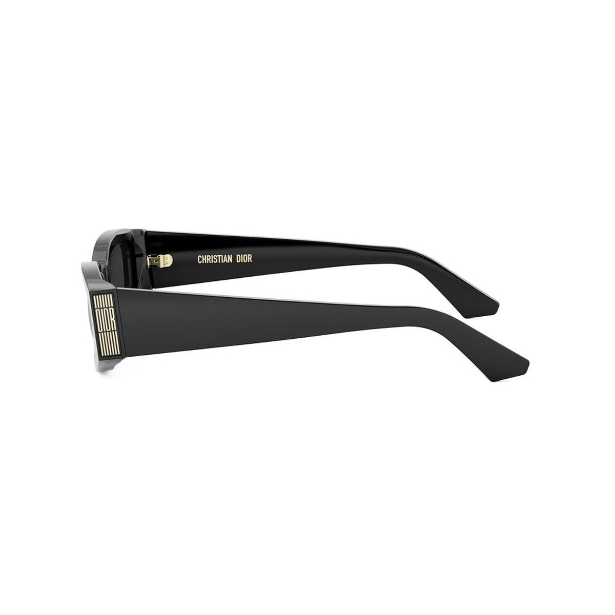 DIORGRAPHIQUE S1I 10a0 laterale