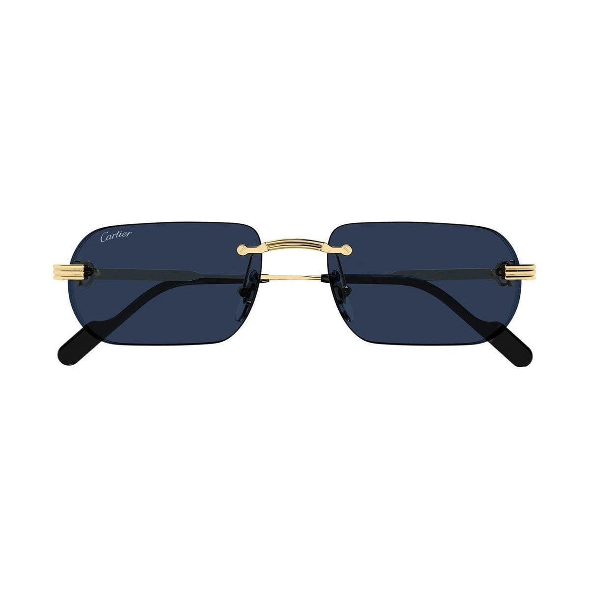 Cartier CT0577S | Occhiali da sole unisex