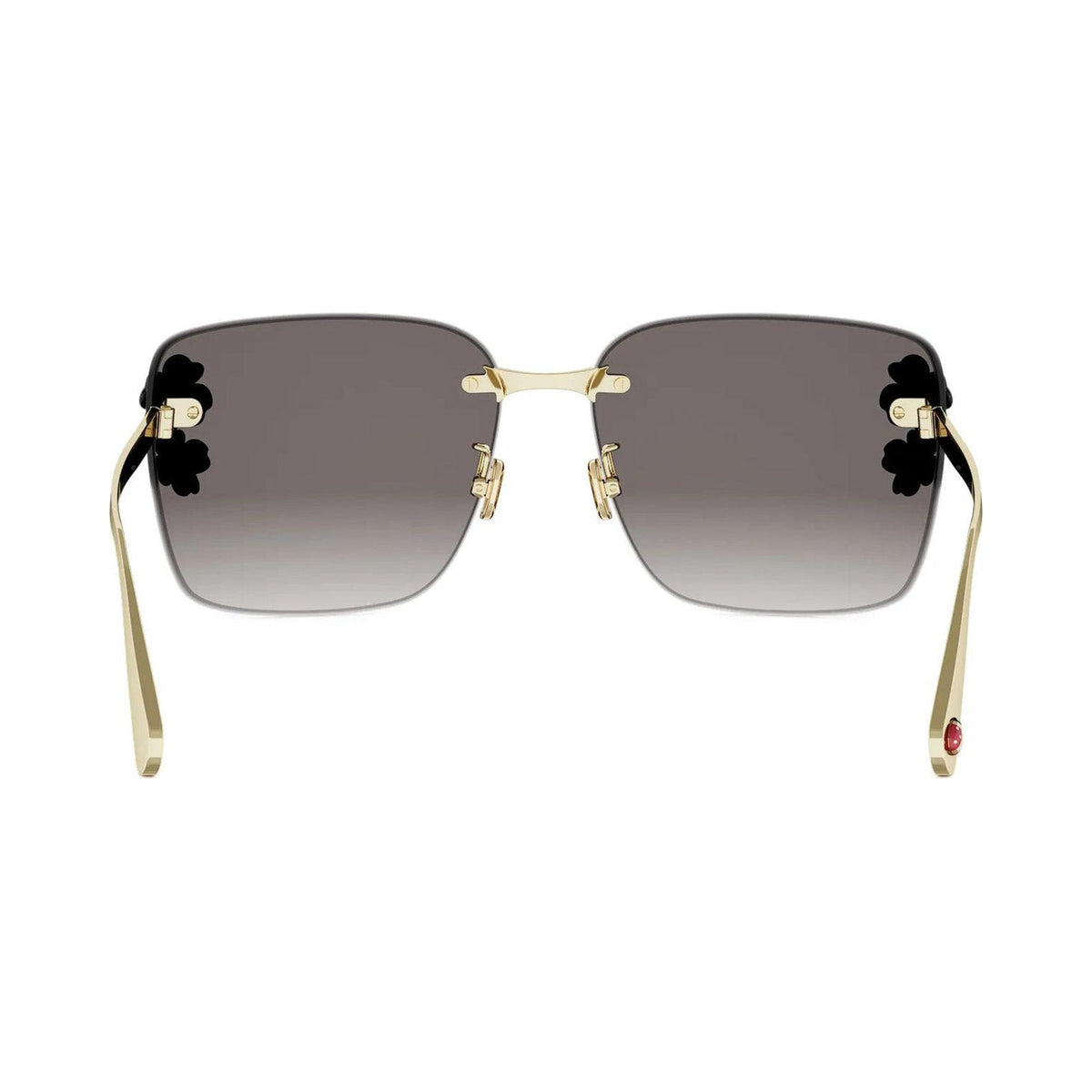 Dior CLOVER S2U 10B vista 4