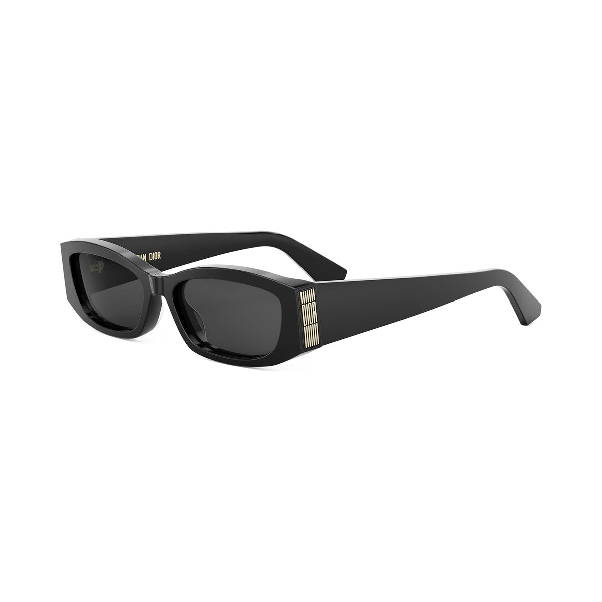 Dior DIORGRAPHIQUE S1I 01A vista 2