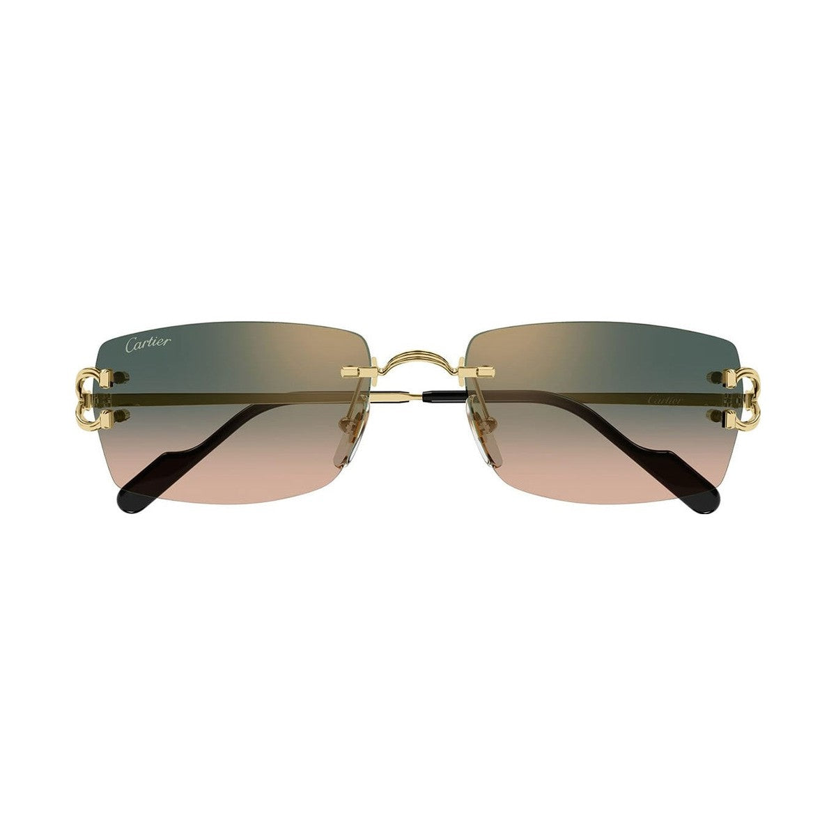 Cartier CT0550S | Occhiali da sole unisex