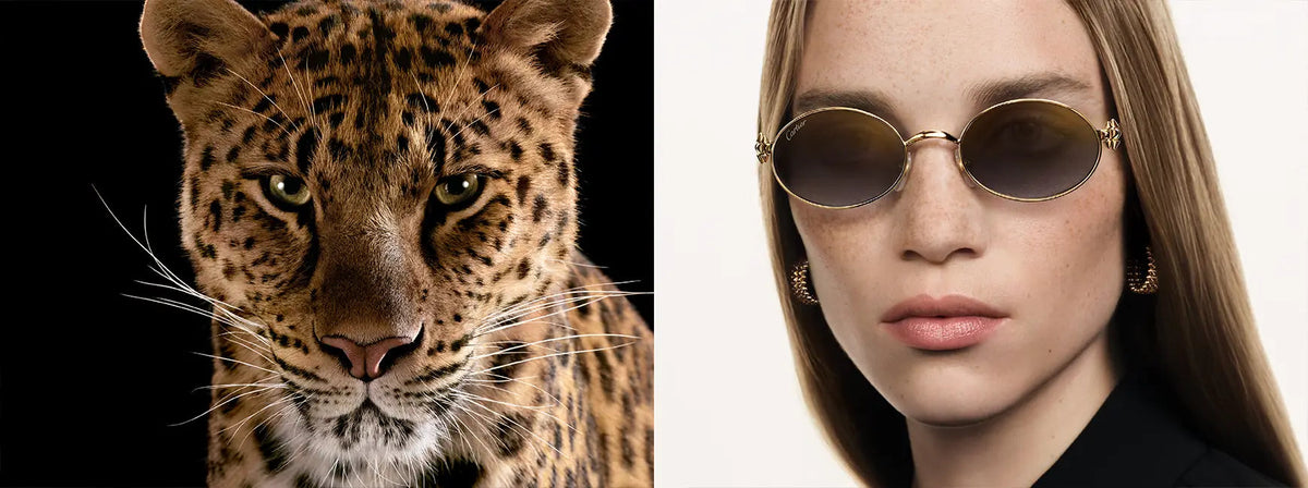 Cartier - immagine campagna