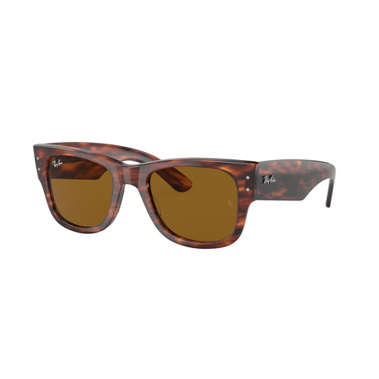 Ray-Ban 0840S SOLE