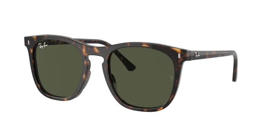 Ray-Ban 2210 SOLE