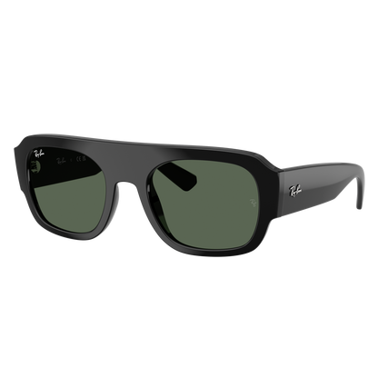 Ray-Ban 2218 SOLE