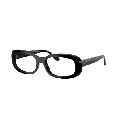 Ray-Ban 2221 SOLE