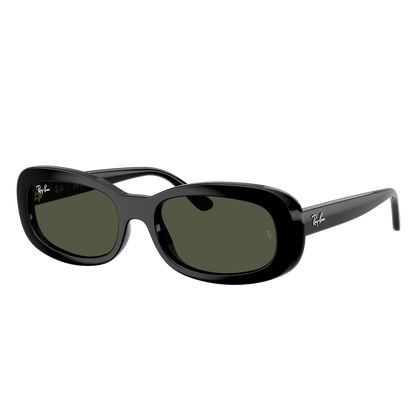 Ray-Ban 2221 SOLE