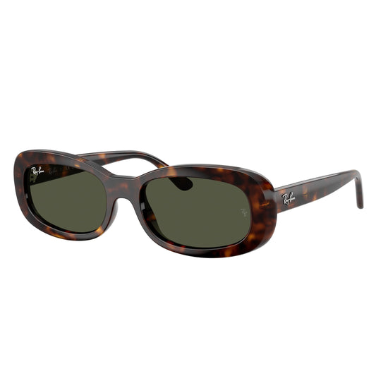 Ray-Ban 2221 SOLE