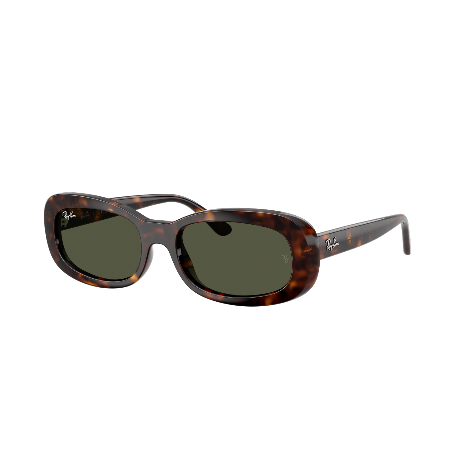 Ray-Ban 2221 SOLE