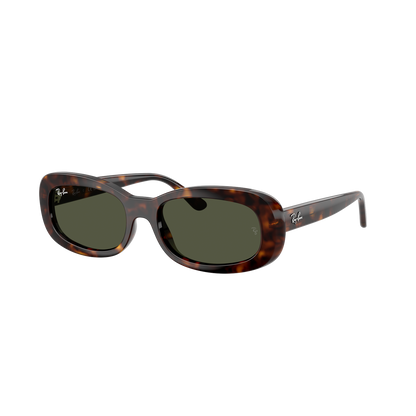Ray-Ban 2221 SOLE