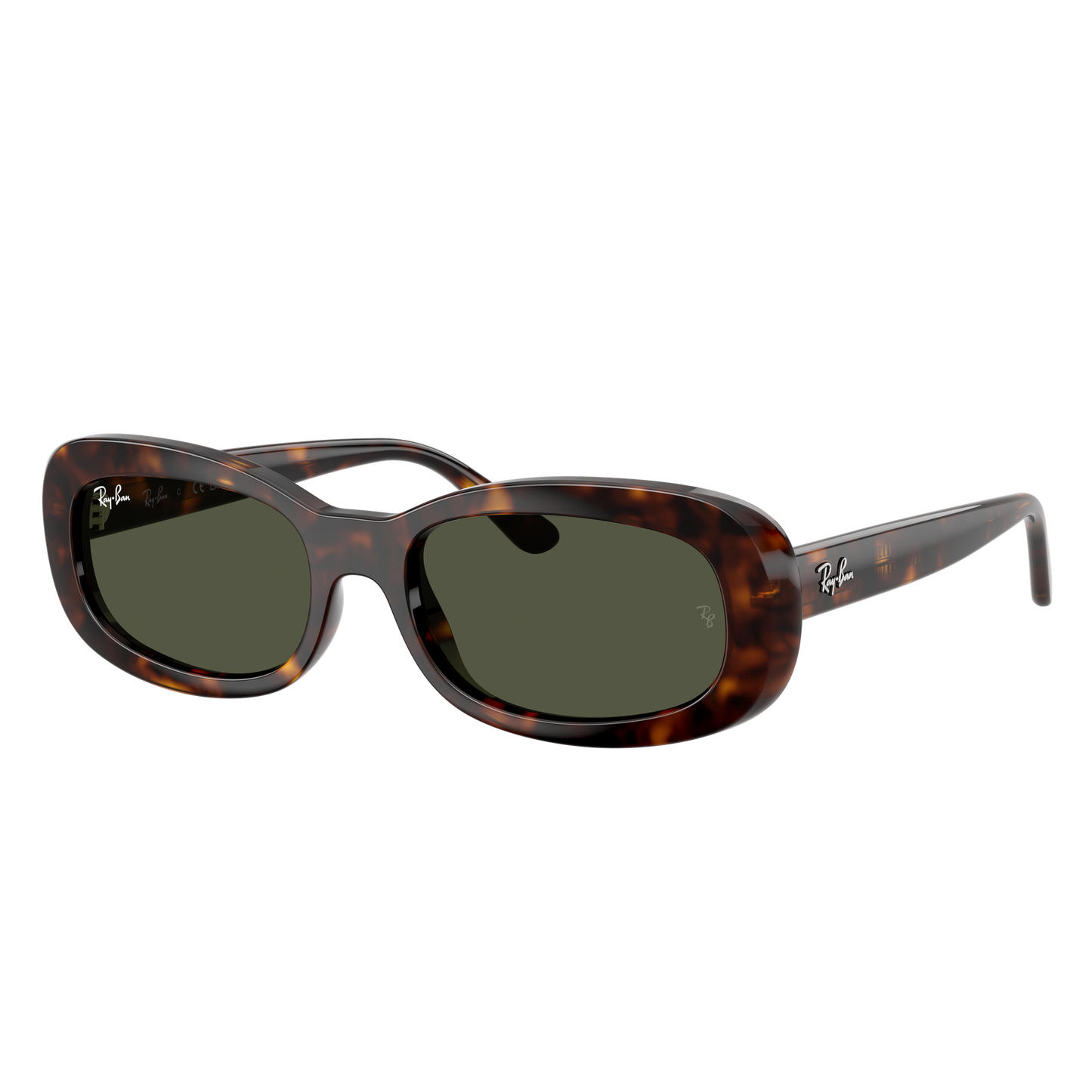 Ray-Ban 2221 SOLE