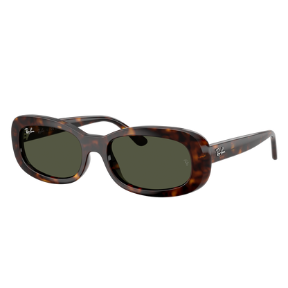 Ray-Ban 2221 SOLE