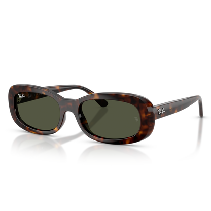 Ray-Ban 2221 SOLE