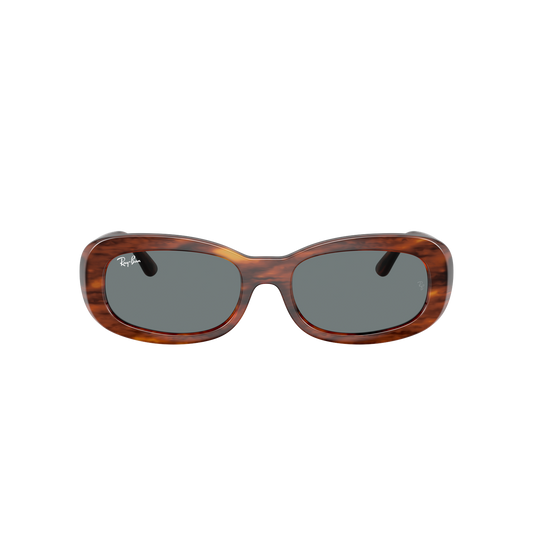 Ray-Ban 2221 SOLE
