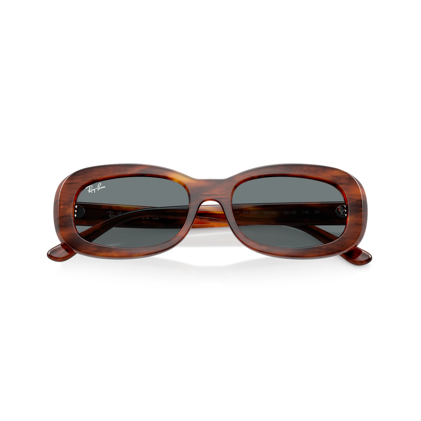 Ray-Ban 2221 SOLE