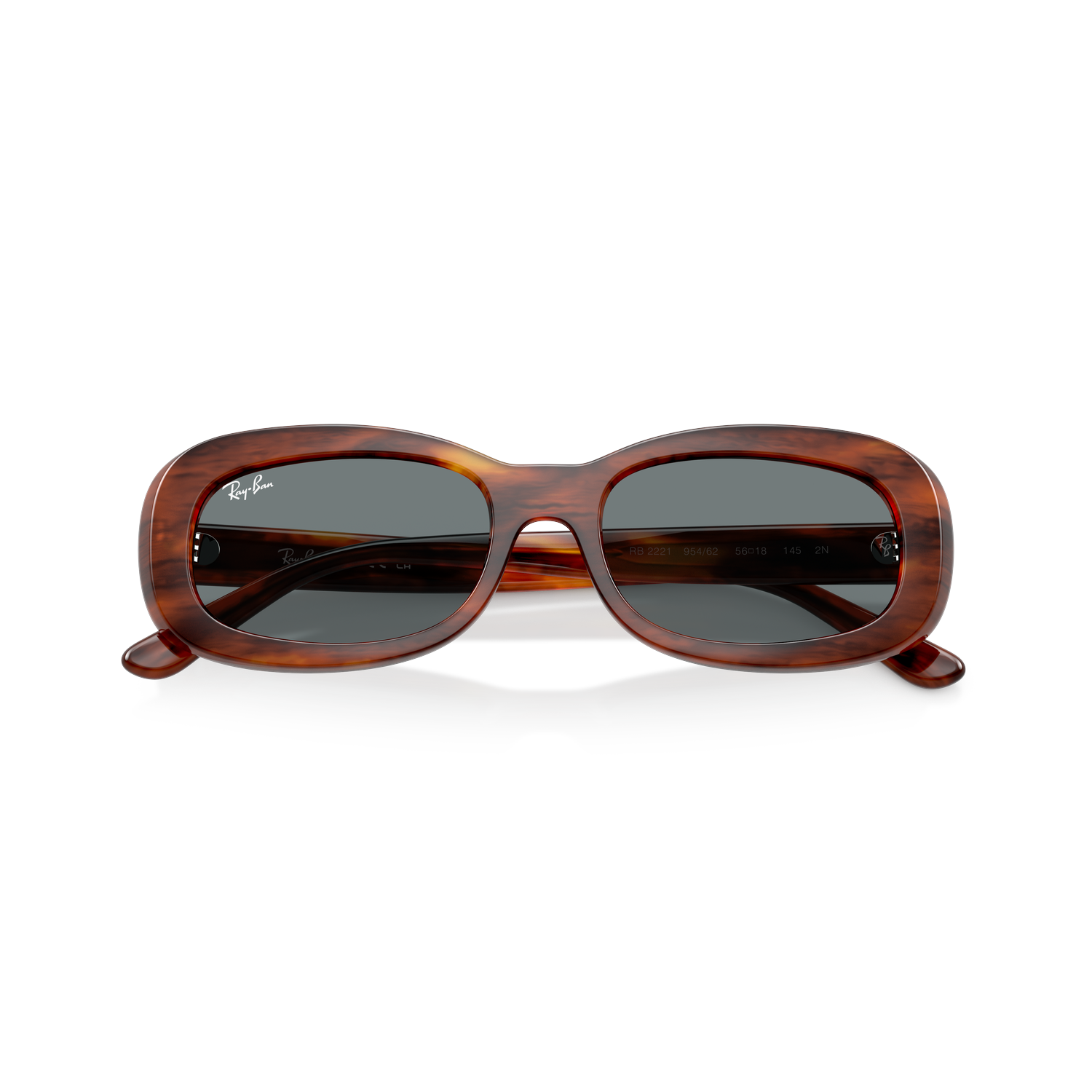 Ray-Ban 2221 SOLE