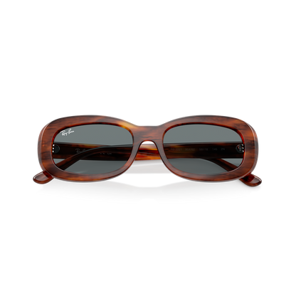 Ray-Ban 2221 SOLE