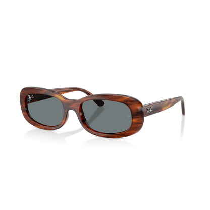 Ray-Ban 2221 SOLE