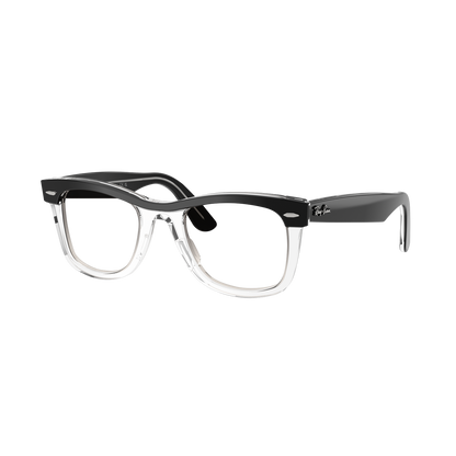 Ray-Ban 2240 SOLE