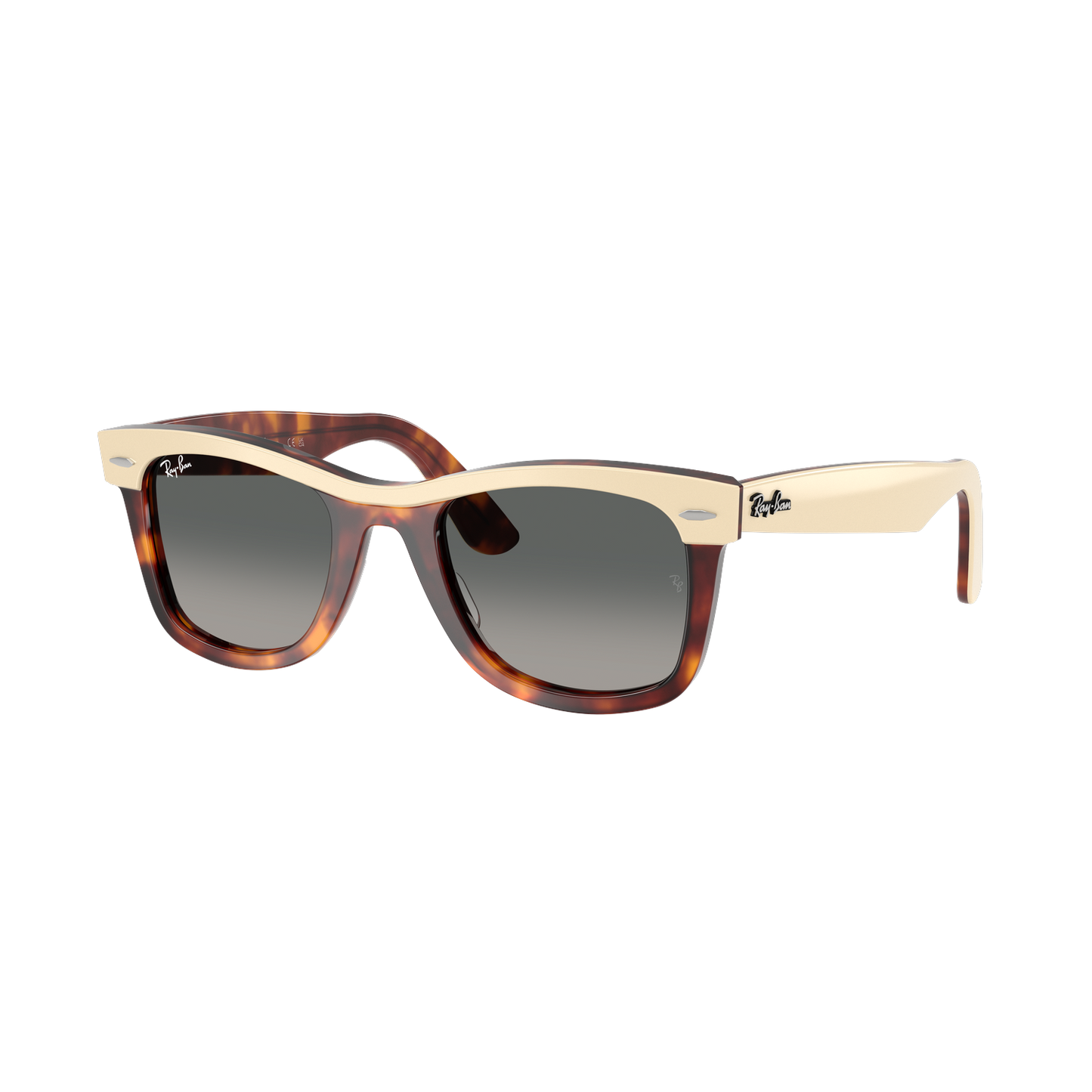 Ray-Ban 2240 SOLE