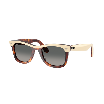 Ray-Ban 2240 SOLE