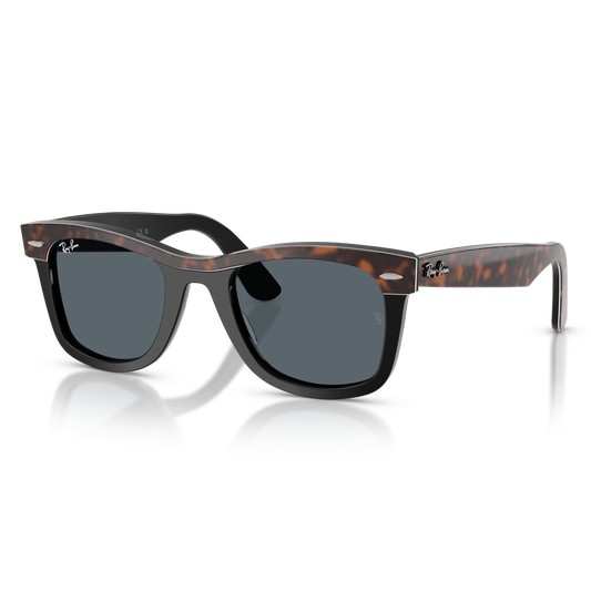 Ray-Ban 2240 SOLE