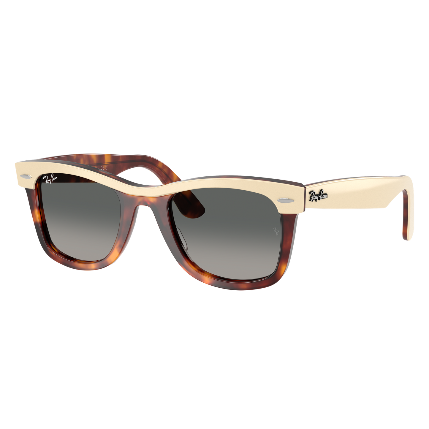 Ray-Ban 2240 SOLE