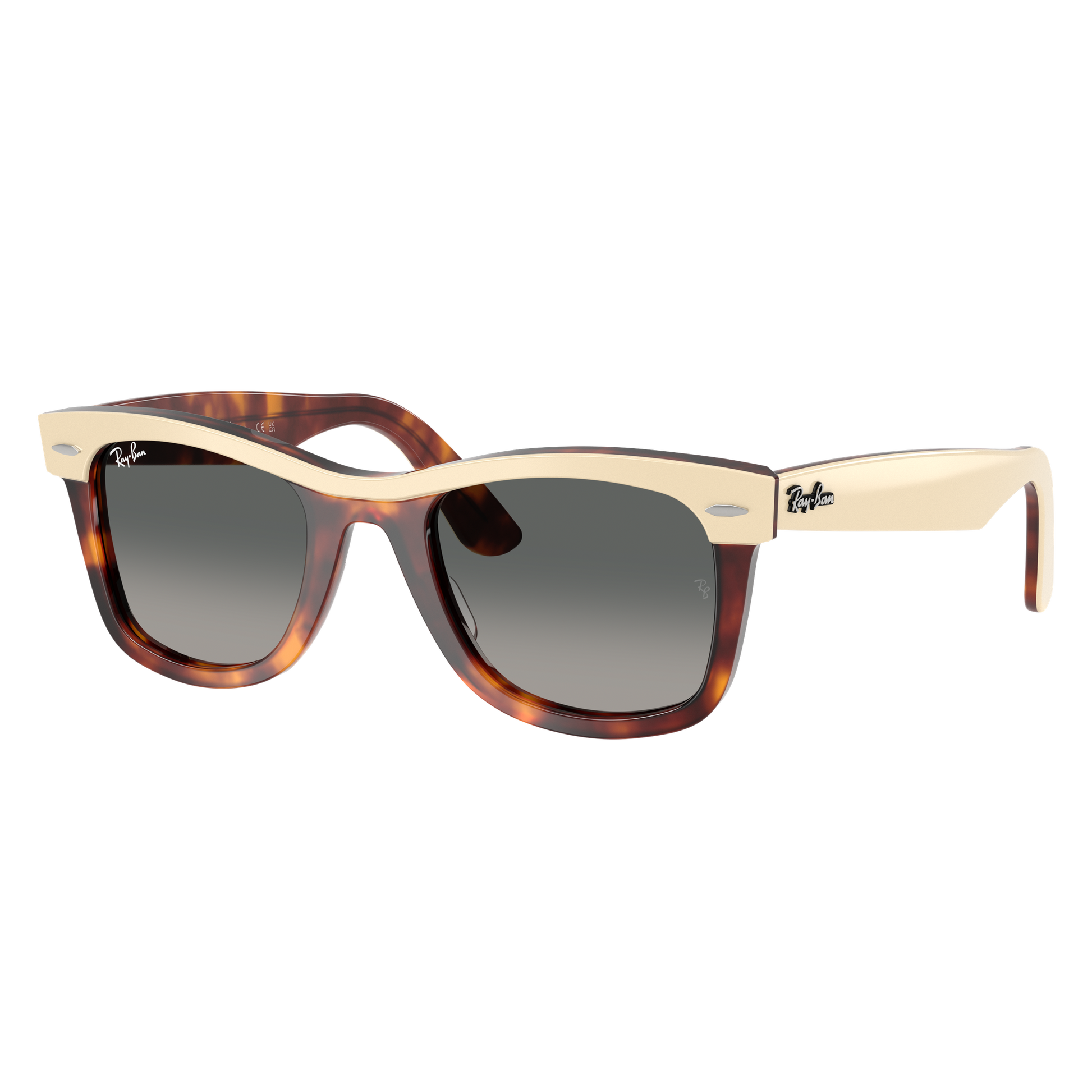 Ray-Ban 2240 SOLE