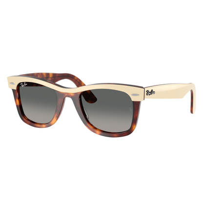 Ray-Ban 2240 SOLE