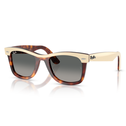 Ray-Ban 2240 SOLE